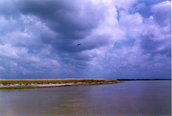 The Weekend Leader - Ganga is Covid-free: Scientists