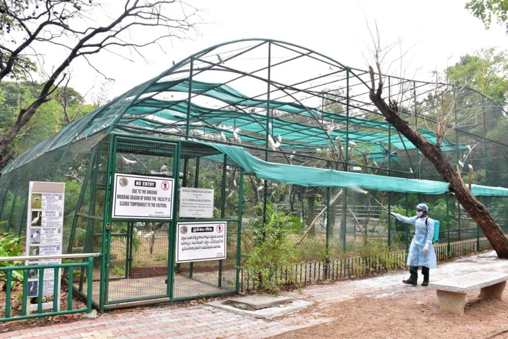 The Weekend Leader - Hyderabad zoo mourns loss of elephant (83), leopard (21)