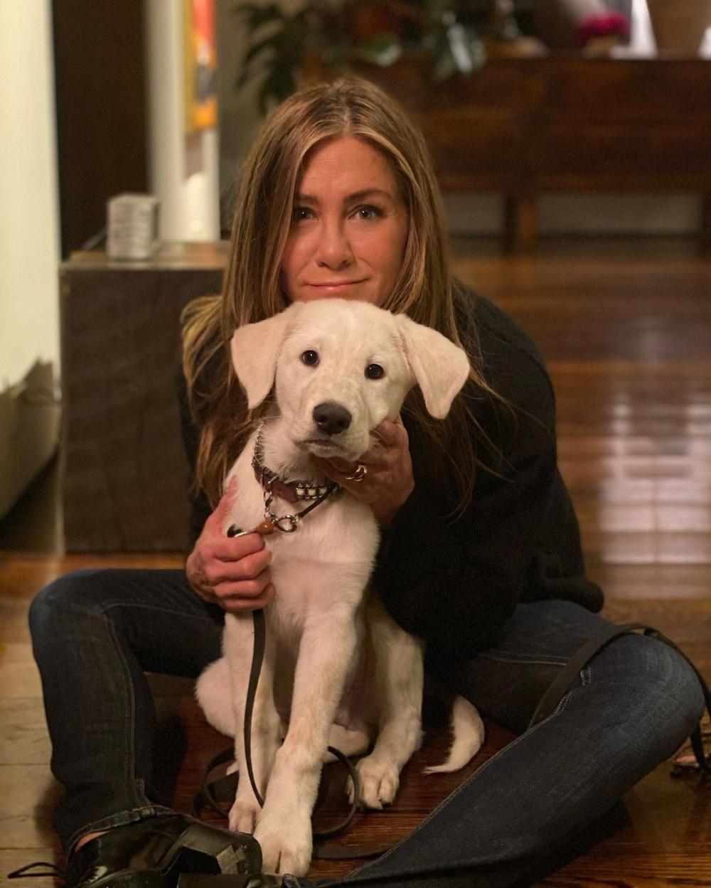 The Weekend Leader - Jennifer Aniston launches vegan hair care line