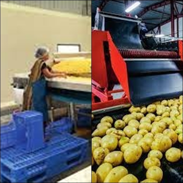 The Weekend Leader - Food processing becomes preferred sector in UP