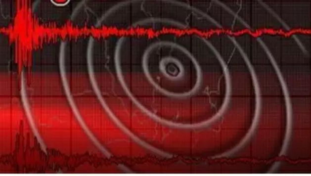 Assam Jolted by 4.8 Magnitude Earthquake, No Casualties Reported