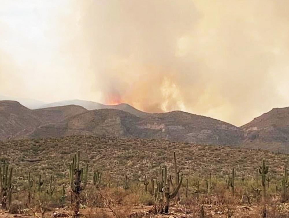 The Weekend Leader - Arizona wildfire scorches 148,299 acres of land