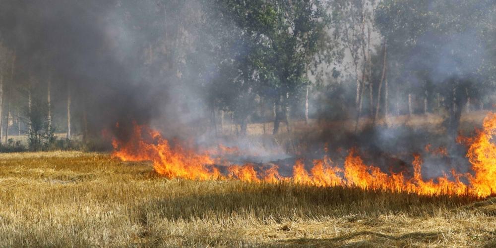 The Weekend Leader - UP village heads to be trained in stubble management