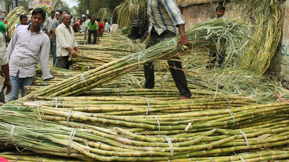 The Weekend Leader - Yogi govt makes record payment to cane growers