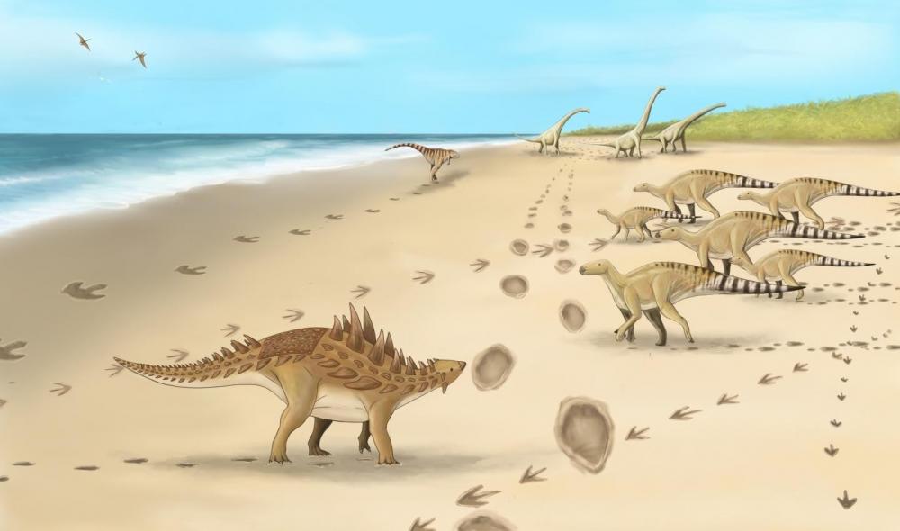 The Weekend Leader - Footprints of last dinosaurs walked 110M years ago in UK found