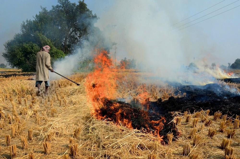 The Weekend Leader - Punjab, Haryana farmers sensitised on stubble management