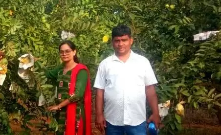 Good-Hearted Farmer Upendra Kumar Pradhan’s Inspiring Rs. 17 Lakh Turnover Guava and Mango Farm