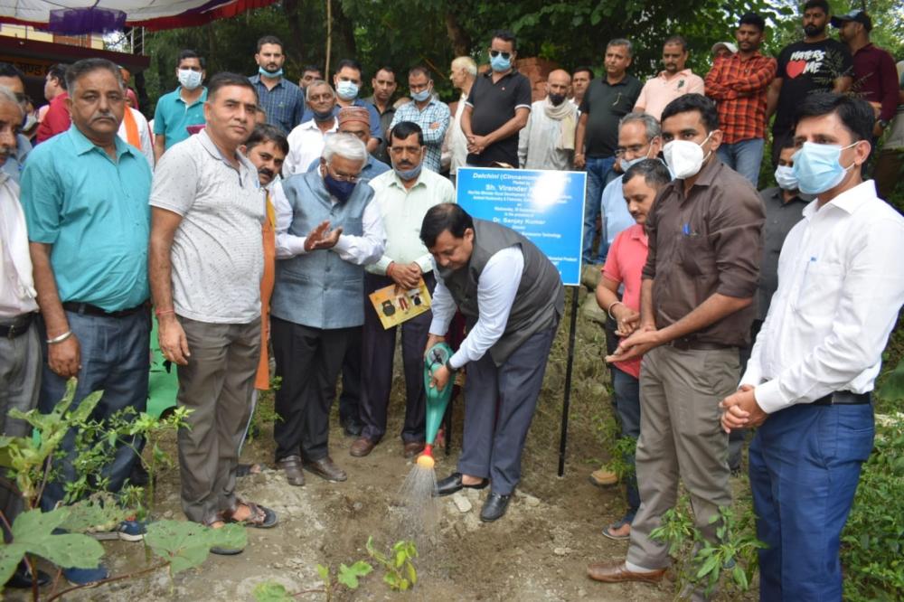 The Weekend Leader - Himachal to promote cinnamon cultivation in 5 districts