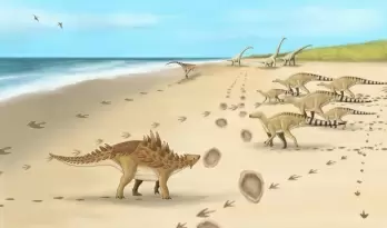 Footprints of last dinosaurs walked 110M years ago in UK found