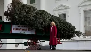 Jill Biden receives WH Christmas Tree