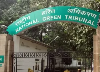 NGT seeks status report on illegal construction in Haryana's 2 wildlife sanctuaries