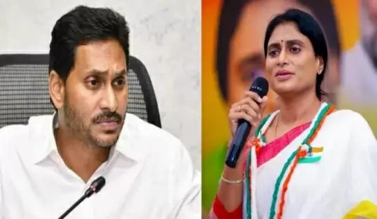 Jagan Has Not Transferred My Share In Family Assets: Sharmila